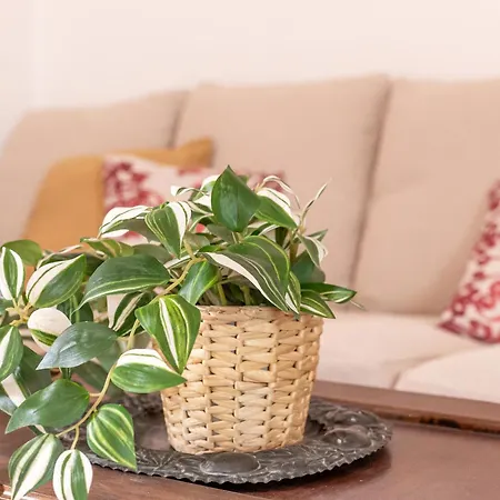 Iflat Pantheon & La Dolce Skyline Penthouse Apartamento